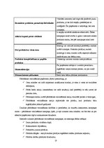 Referāts '"118" produktu raksturojums un to virzība tirgū', 19.