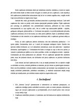 Referāts '"118" produktu raksturojums un to virzība tirgū', 24.