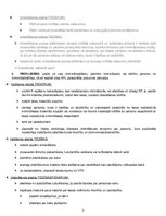 Konspekts 'Amatpersonu tiesības un pienākumi kriminālprocesā', 3.