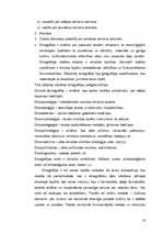 Referāts 'Aizvēsture', 18.