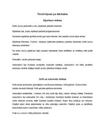 Prakses atskaite 'Aprūpes plāns terapijā', 13.