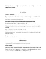 Prakses atskaite 'Aprūpes plāns terapijā', 15.