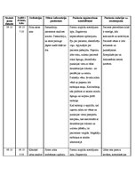 Prakses atskaite 'Aprūpes plāns terapijā', 19.