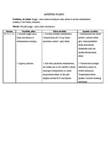 Prakses atskaite 'Aprūpes plāns terapijā', 28.