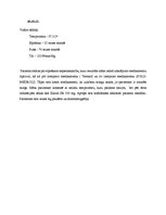 Prakses atskaite 'Aprūpes plāns terapijā', 37.