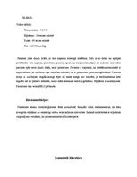 Prakses atskaite 'Aprūpes plāns terapijā', 38.