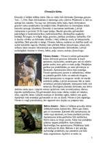 Referāts 'Zīdītāju klase', 7.