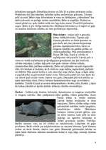 Referāts 'Zīdītāju klase', 8.