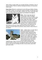 Referāts 'Zīdītāju klase', 11.