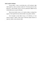 Paraugs 'Digitālie stereoattēli, attēlu stereoapskate un analīze', 6.