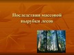 Prezentācija 'Последствия массовой вырубки лесов', 1.