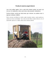 Prakses atskaite 'Kvalifikacijas prakses atskaite', 31.