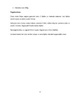 Prakses atskaite 'Kvalifikacijas prakses atskaite', 47.