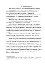 Referāts 'Komersantu veidi, padziļinātā analīze', 4.