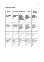 Konspekts 'Portfolio mape matemātika 2. klasei', 19.