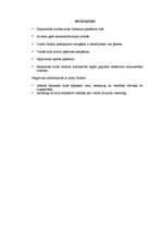 Referāts 'Lauku tūrisma mītne "Cīruļi"', 18.