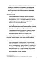 Konspekts 'Organizācijas personāla vadības stratēģija starptautiskā kultūrvides aspektā', 3.