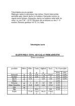 Konspekts 'Tehnoloģiskās kartes', 9.