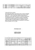 Konspekts 'Tehnoloģiskās kartes', 25.