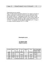 Konspekts 'Tehnoloģiskās kartes', 27.