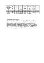 Konspekts 'Tehnoloģiskās kartes', 40.