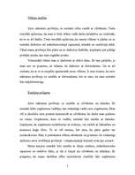 Referāts 'Profesionālais poligons', 5.