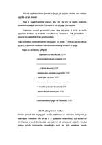 Referāts 'Lauksaimniecības uzņēmuma "Stars" ražošanas attīstība', 18.