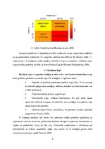 Referāts 'Tirgus un produkta izaugsmes matrica. McDonalds analīze', 4.