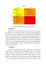 Referāts 'Tirgus un produkta izaugsmes matrica. McDonalds analīze', 7.