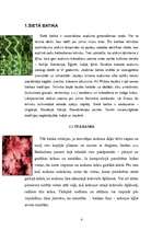 Konspekts 'Tekstiltehnoloģiju prakse. Batika', 4.