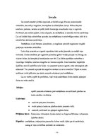 Referāts 'Jauniešu attieksme pret smēķēšanu', 4.