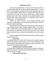 Referāts 'Sociālā stratifikācija', 6.