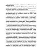 Referāts 'Sociālā stratifikācija', 8.