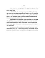 Referāts 'Pret Irāku vērsto sankciju tiesiskā analīze', 3.