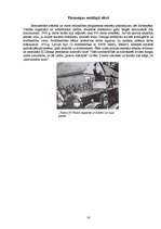 Referāts 'Autoritārā režīma idejas, saknes, attīstība un vērtējums Latvijas Republikā', 16.