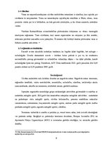 Referāts 'Cilvēku mobilitātes negatīvās sekas tūrisma komercdarbībā globalizācijas ietekmē', 9.