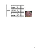 Biznesa plāns 'Biznesa plāns', 6.