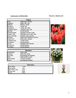 Biznesa plāns 'Biznesa plāns', 7.