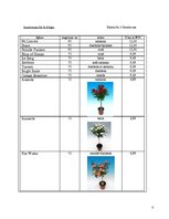 Biznesa plāns 'Biznesa plāns', 8.