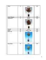 Biznesa plāns 'Biznesa plāns', 9.