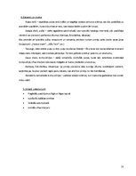 Biznesa plāns 'Biznesa plāns', 10.