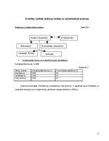 Biznesa plāns 'Biznesa plāns', 11.