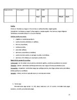 Biznesa plāns 'Biznesa plāns', 14.