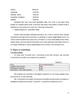 Biznesa plāns 'Biznesa plāns', 15.