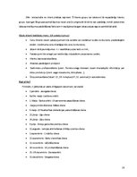 Biznesa plāns 'Biznesa plāns', 16.