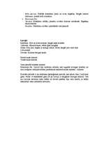 Konspekts 'Zemes evolūcijas posmi', 2.