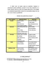 Referāts 'Viesnīcas "Jelgava" mārketinga vides analīze', 13.