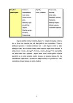 Referāts 'Viesnīcas "Jelgava" mārketinga vides analīze', 21.