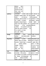 Prakses atskaite 'Aktīvā mācību un audzināšanas prakse pirmsskolā', 5.