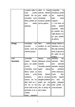 Prakses atskaite 'Aktīvā mācību un audzināšanas prakse pirmsskolā', 7.